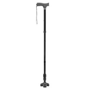 Flex N Go Cane